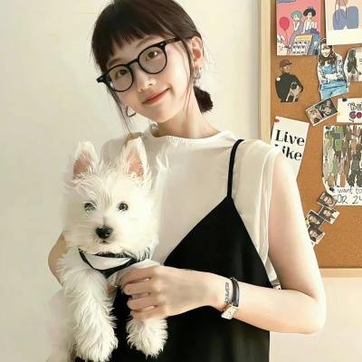 东方卫视月光露营会